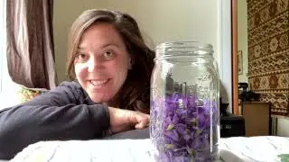 Wild Earth At-Home Activity: Violet Syrup