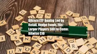 Bitcoin ETF Buying Led by Retail, Hedge Funds, FAs; Larger Players Still to Come: Bitwise CIO