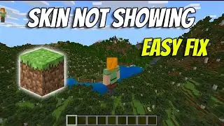 How To Fix Minecraft Skin Not Showing in Multiplayer