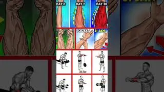 Best home workout for forearm without equipment for beginner.  Build your forearm m  best exercises