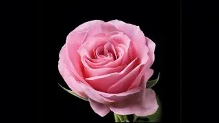 M&S Flowers: Mother&rsquo;s Day Flowers Free Mother's Day Delivery - TV Ad 2016