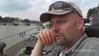 Matze Koch: Aale am Hafen tags&uuml;ber - Matzes M&auml;tzchen 05-2015