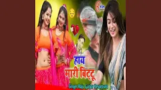 Hay Mari Bittu
