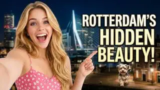 Gorgeous Rotterdam Lage Land After Dark | Breathtaking Dutch Friday Night Walk 4K!