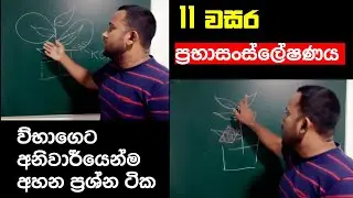 Grade 11 Science lessons| ප්&zwj;රභාසංස්ලේෂණය|විභාගයට දැනගත යුතු සියල්ල|Science channel Bro|2021