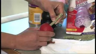 How to Stuff a Kong for Your Dog
