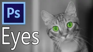 Photoshop 101 - How to Change Eye Color