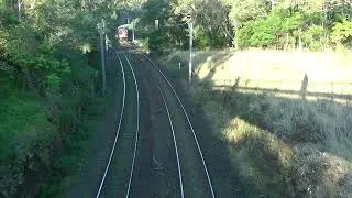 2025-09-06 Twilight Cockatoo Run