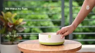 Eha Earth Friendly EcoBlend Dog Food Bowl | Anti-Skid | Made with Rice Husk | Cat Food Bowls