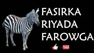 Riyada dameer farowga qofkii riyo ku arko dameer farow asoo saaran ama ugaarsaday