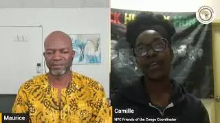 Diplomatic Flurry and the Congo Crisis