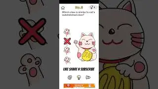 Brain Out game Level 5 | brain game level 5