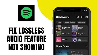 Как исправить ошибку &laquo;Lossless Audio&raquo; (не отображается в Spotify) ОБНОВЛЕНО