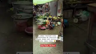 🇻🇳 Local Market in Rural Vietnam 😦