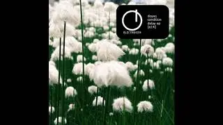 doyeq - soft signal