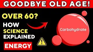 How Do Carbohydrates Impact Your Health? | Blood Sugar, Energy & Gut Science Explained