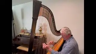 Is he the greatest Harpist alive? Greg Buchanan!!!