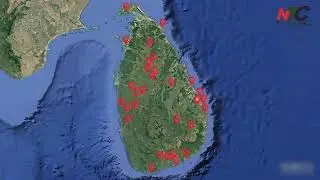 Plant projects completed in 2025