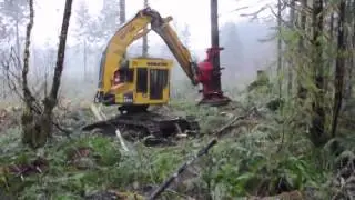 Track Feller Buncher Komatsu XT450