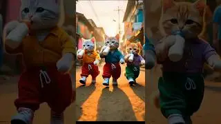 Dudi Dudi Dam Dam|#youtubeshorts #cat #comedy #trending #funny #foryou @BabyPop-j8d
