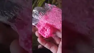 Rose 🍭Javvu Mittai🍭#Tasty😋 #Yummy😋 #Favourite🥰 #Shorts#Subscribe for more videos........🍭🍭🍭