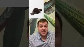 Испанский модный дом Loewe и сумка в форме утконоса)