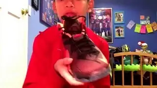 Lebron 12 and 2 lebron soldier 9 unboxing