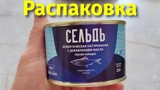 Trying canned herring in Vyazma