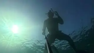 Diving with fish in the Atlantic 🐟 #OceanVibes