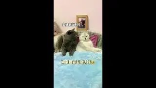 真是对神仙眷侣啊..