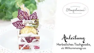Anleitung Herbstliches Tischgoodie als Willkommengruss | Goodie | Gastgeschenk als Tischdekoration