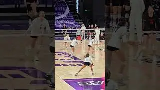 GCU Volleyball #lopesup #volleyball #Phoenix #grandcanyonuniversity vs southern utah