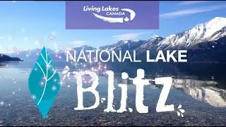 Join the 1st Annual Lake Blitz!