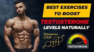 Best Exercises to boost Testosterone Level