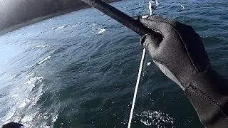 Kitefoil Araba, isla de Zuaza 