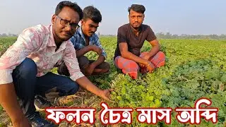 Innovative Farming Idea: Upland Farming Village in East Midnapore