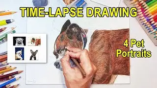 Watch me Draw 4 Dog Portraits | Time Lapse Video