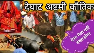 अष्टमी कौतिक की धूम 🥳✌️ कैसा लगा इस बार देघाट में मेला?   #अष्टमीकौतिकदेघाट #Deghat #vinodaphadi