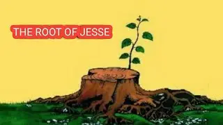The Root Of Jesse