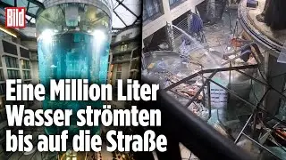 AquaDom explodiert: 16 Meter hohes Aquarium in Hotel bricht zusammen | Berlin