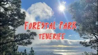 La Aventura de Forestal Park