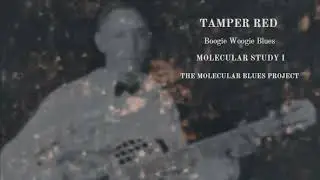 Boogie Woogie Blues - (Molecular Study I) : Tamper Red - The Molecular Blues Project