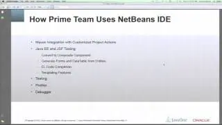 Lessons Learned in Building Enterprise and Desktop Applications with the NetBeans IDE