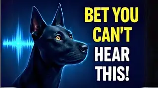 Only Dogs Can Hear This&mdash;and It Could Save Your Life!