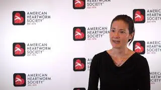 Caval Syndrome and How to Manage it in Dogs with Heartworm Disease