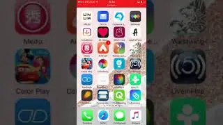 Concept office. Как сделать Био профиля в Instagram