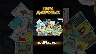 Кому выгоден РАЗВОД ДИБРОВЫХ - ТАРО Расклад #таро #дибров #товстик