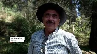 Monarch Butterfly Season Kicks Off In Mexico