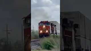 H1 Leader! BNSF H1 Dash 9 Leads Intermodal!