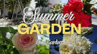 Signs in the Garden Before a Summer Storm | Relaxing Nature Vlog